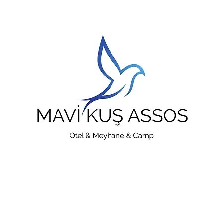 Hostel Mavi Kus *